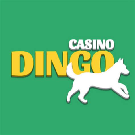 Dingo casino Chile